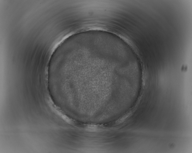 X0000112180790200909041229