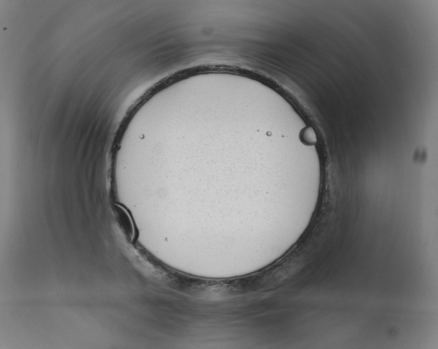 X0000112180791200909041229