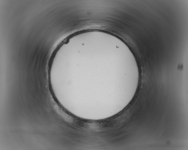 X0000112180792200909041229
