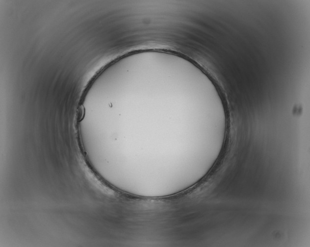 X0000112180797200909041229