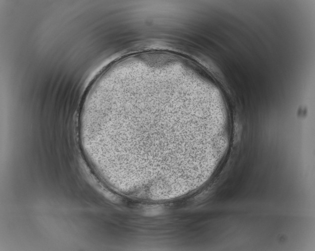 X0000112180798200909041229