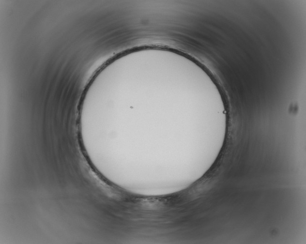 X0000112180799200909041229
