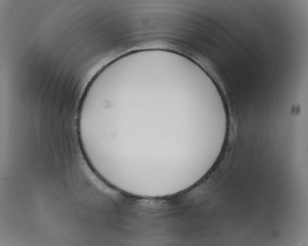 X0000112180805200909041228