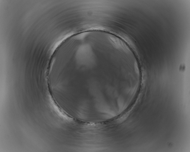 X0000112180806200909041228