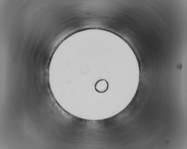 X0000112180807200909041228