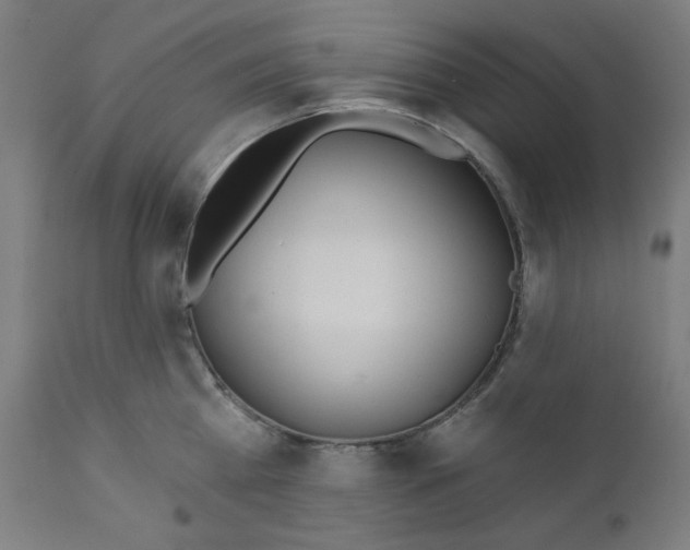 X0000112180809200909041228