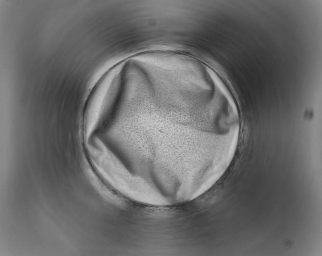 X0000112180811200909041228