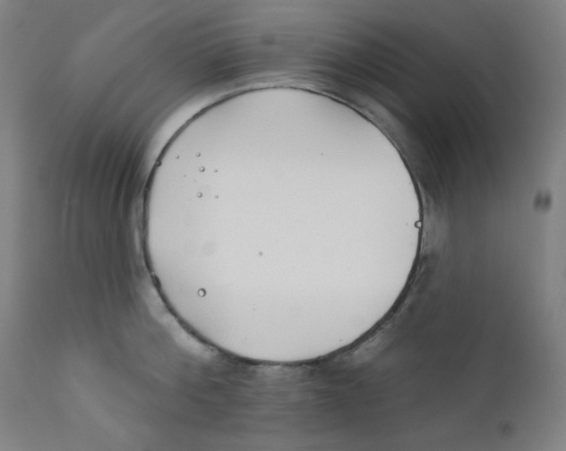 X0000112180812200909041228