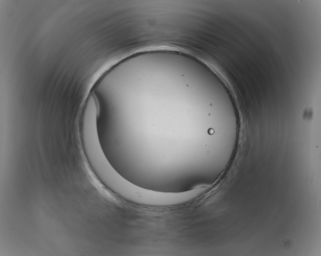 X0000112180813200909041228