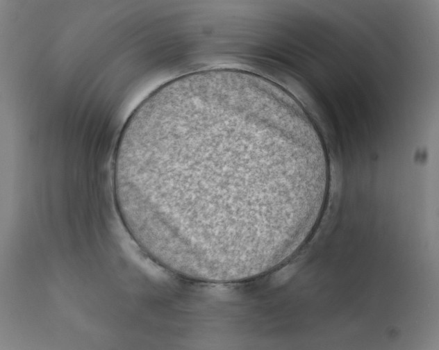 X0000112180814200909041228