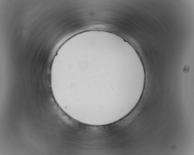 X0000112180816200909041228