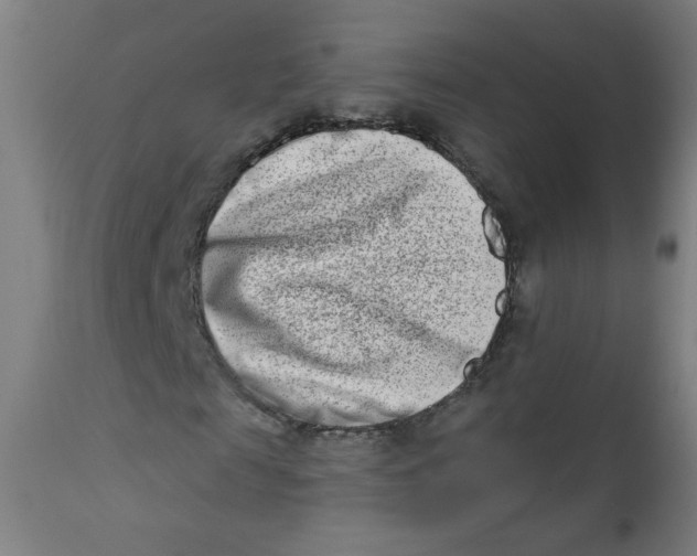 X0000112180817200909041227