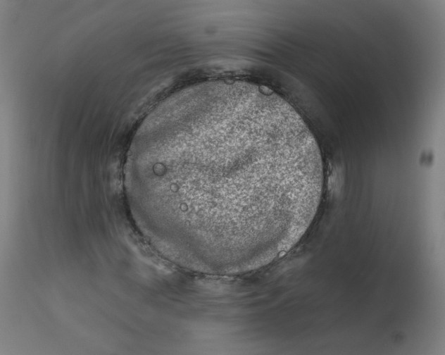 X0000112180819200909041227