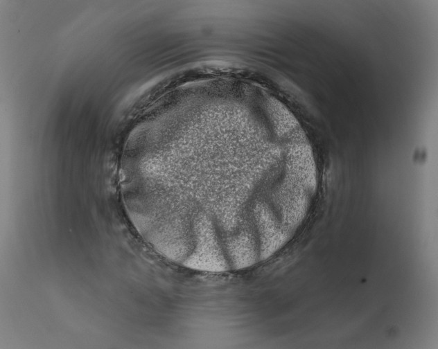 X0000112180822200909041228