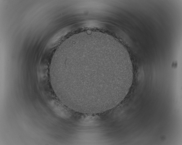 X0000112180824200909041228