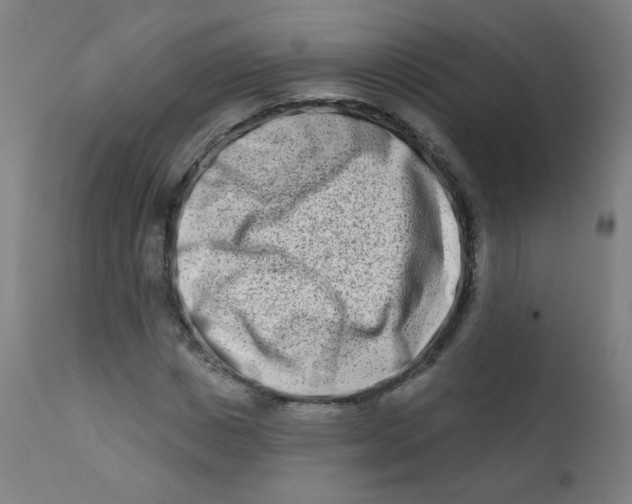 X0000112180825200909041228