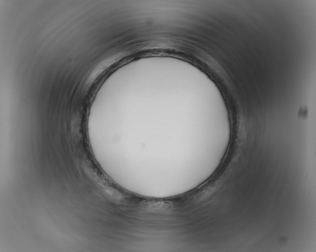 X0000112180826200909041228