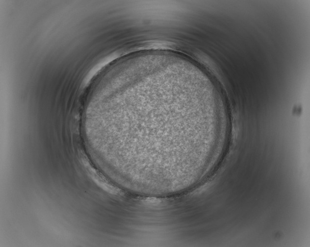 X0000112180827200909041228