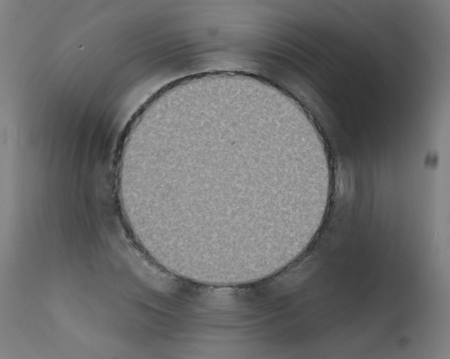 X0000112180828200909041228