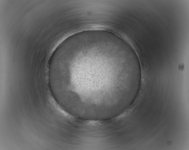 X0000112180835200909041228