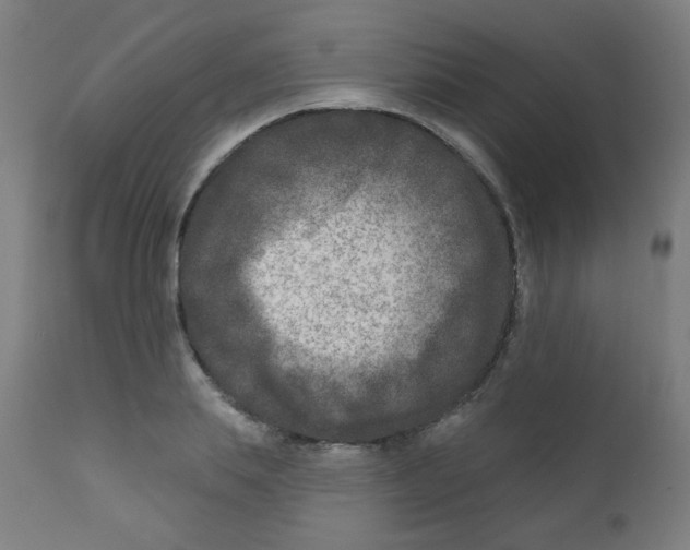 X0000112180839200909041228