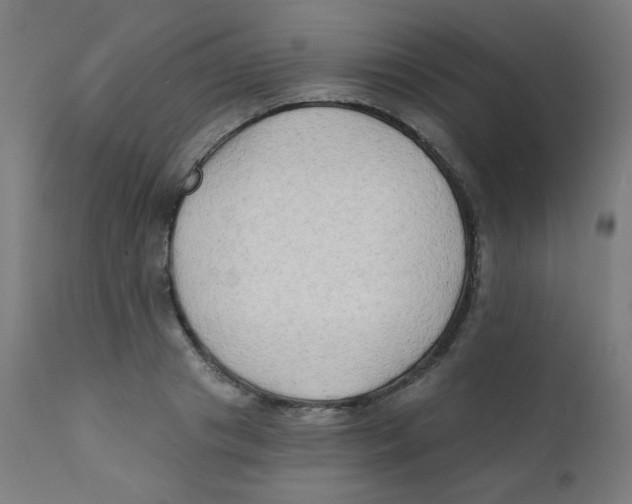 X0000112180841200909041228