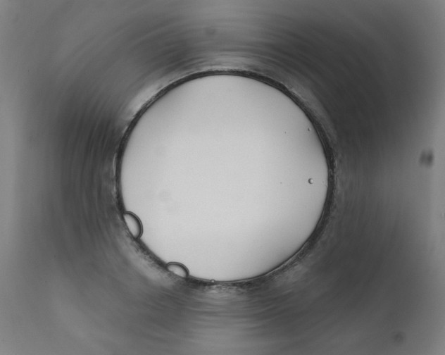 X0000112180842200909041228