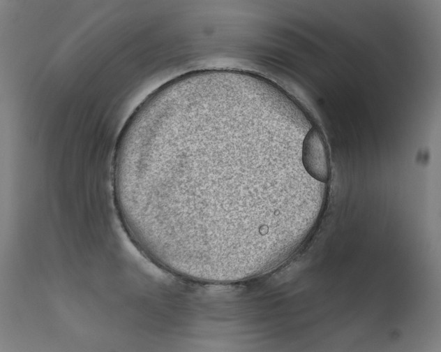 X0000112180847200909041228
