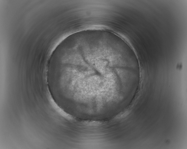 X0000112180851200909041228