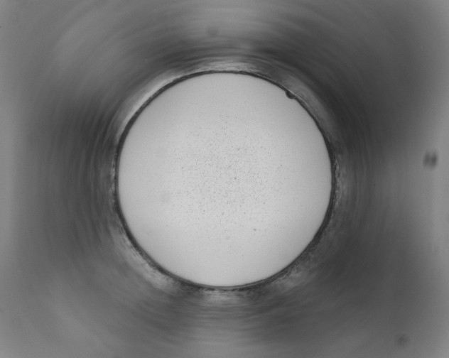 X0000112180852200909041228