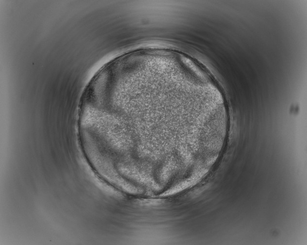X0000112180853200909041228