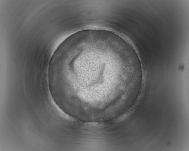 X0000112180855200909041228