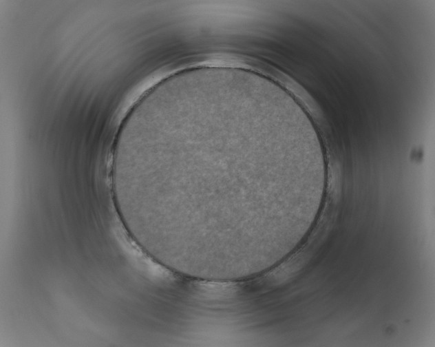 X0000112180856200909041228