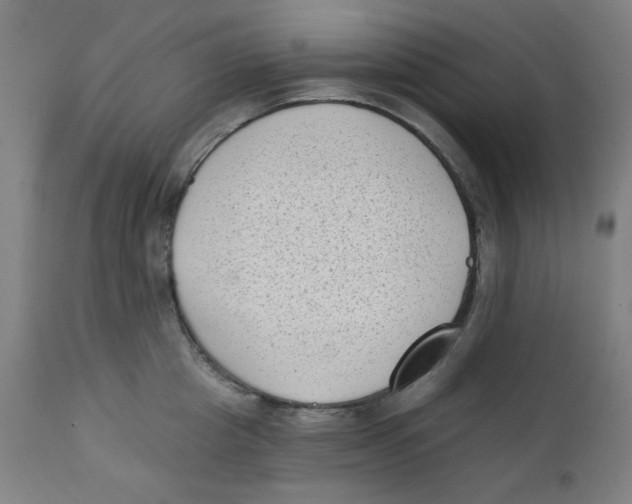 X0000112180857200909041228