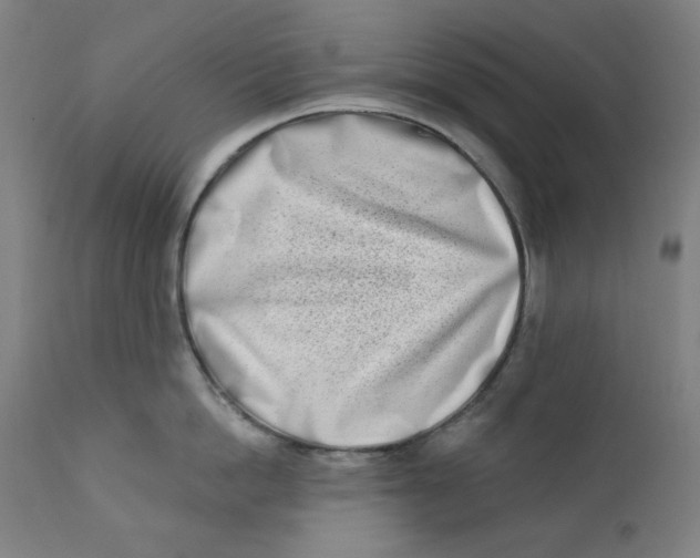 X0000112180862200909041228