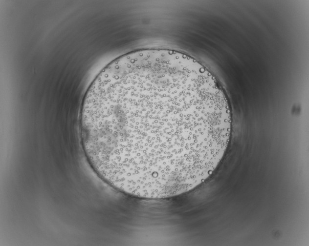 X0000112180863200909041228