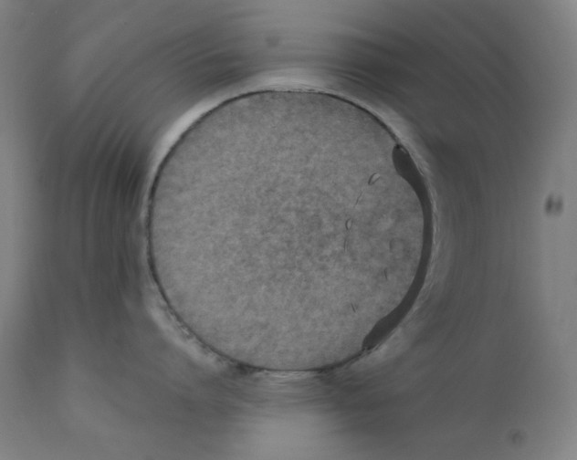 X0000112180864200909041228