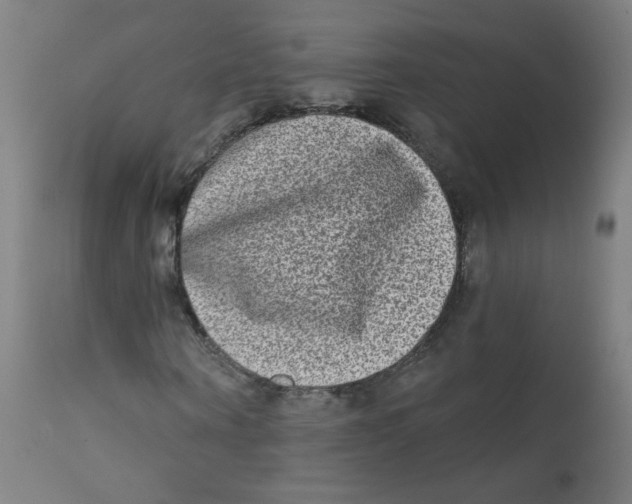 X0000112180866200909041227