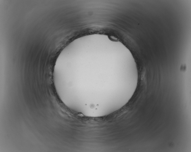 X0000112180868200909041227