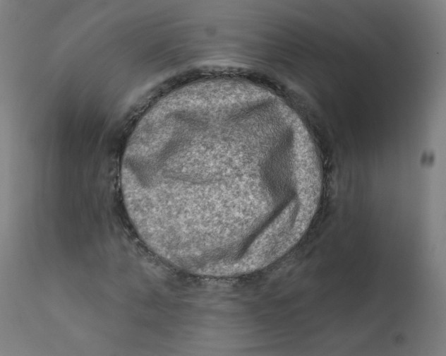 X0000112180870200909041227