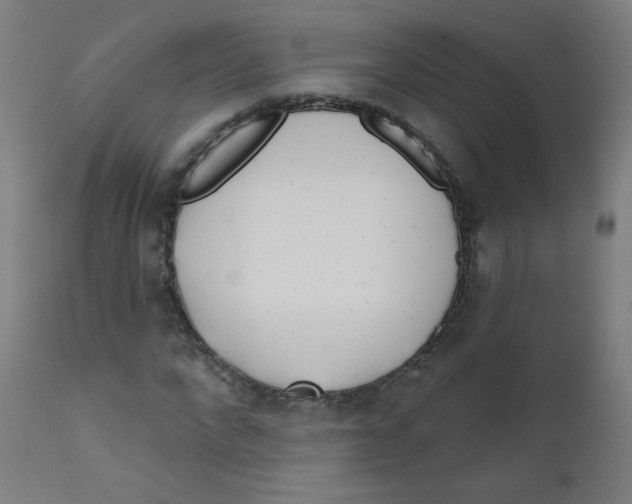 X0000112180872200909041227