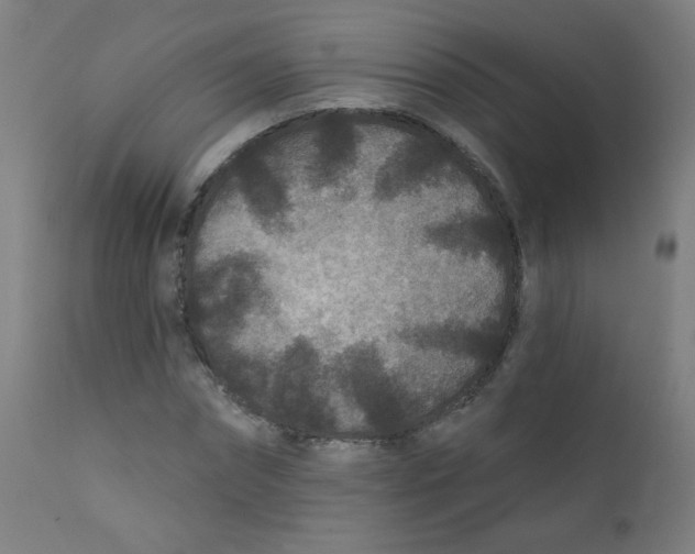 X0000112180874200909041227