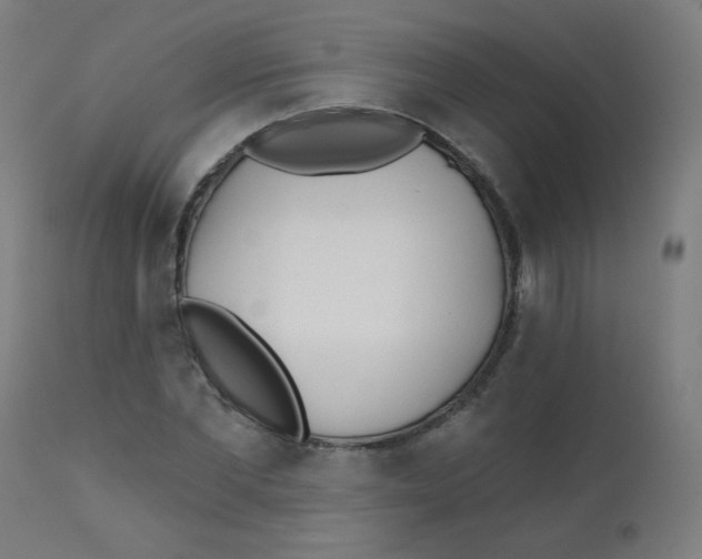 X0000112180877200909041227