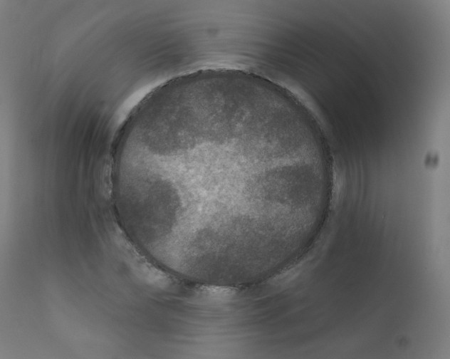 X0000112180878200909041227