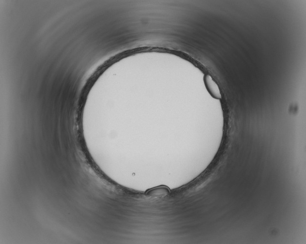 X0000112180880200909041227