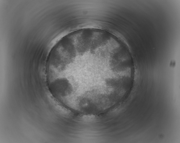 X0000112180882200909041227
