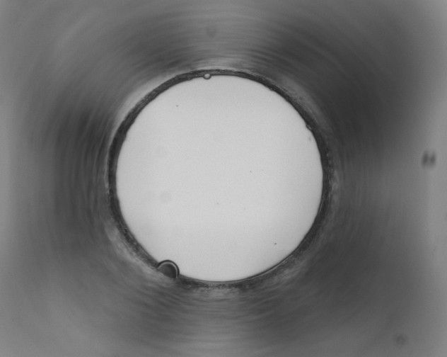 X0000112180884200909041227