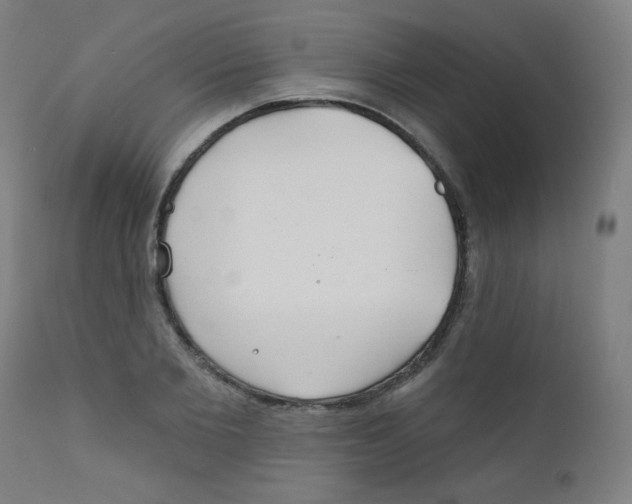 X0000112180885200909041227