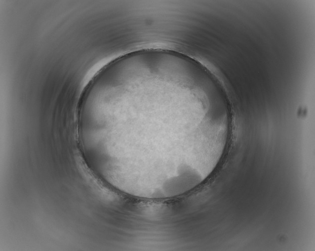 X0000112180886200909041227