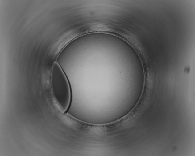 X0000112180889200909041227